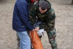 how_many_scouts_does_it_take