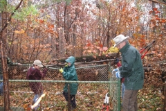 04_fix_fence_family