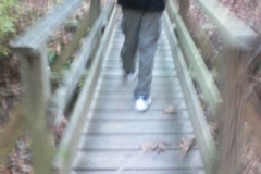 07_bridge
