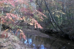 10_fall_scene