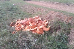 225_victim_remains