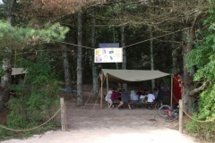 310_camp