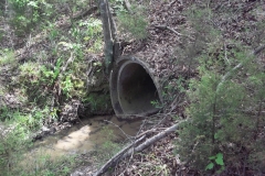 05_culvert_after_cleanup