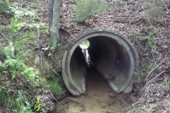 06_culvert_after_cleanup