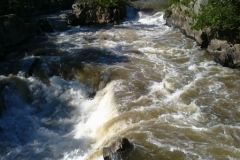 Swim Call on Potomac at Great Falls