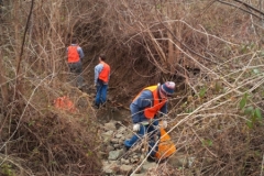 2014Stream3