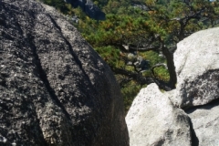 20170923_120515